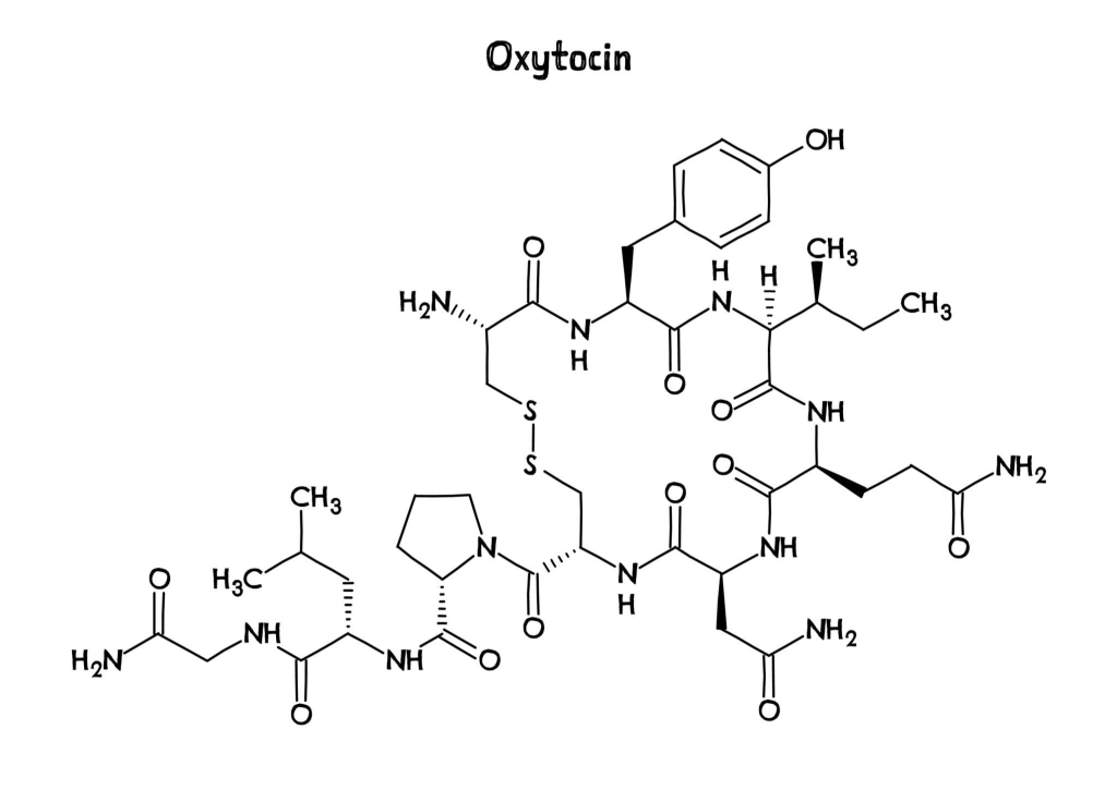 OXYTOCIN (Oksytocyna)