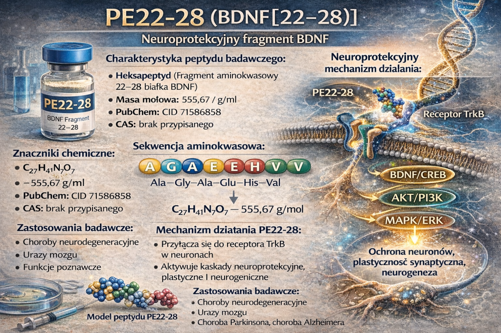 PE 22-28